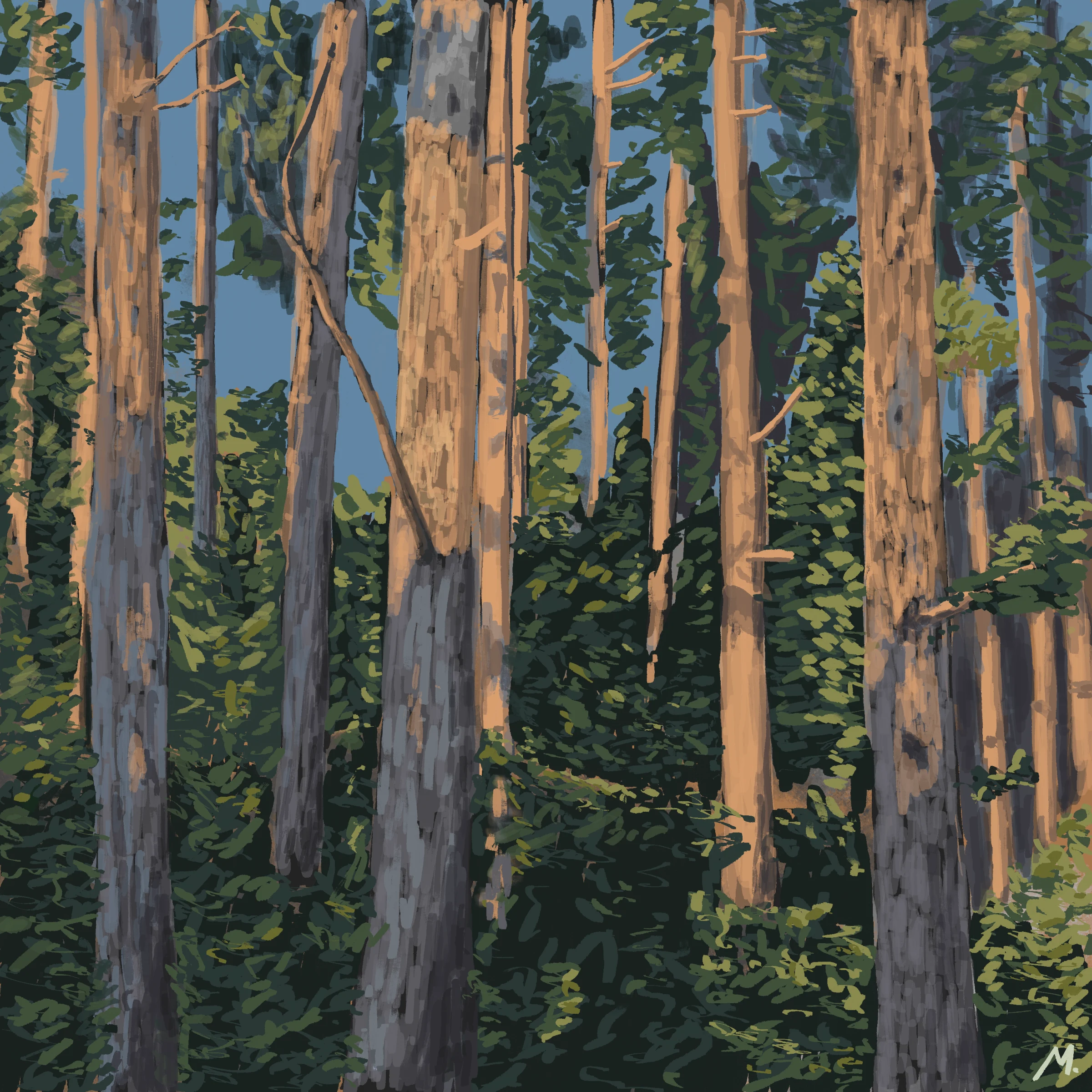 Trebević Forest