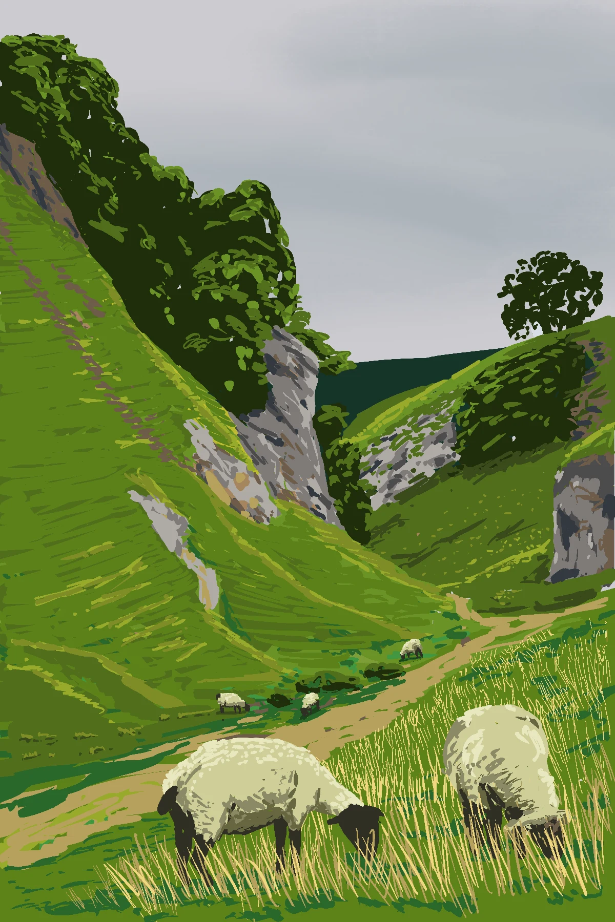 Walking with sheeps
